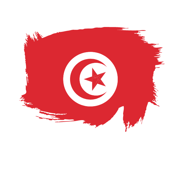 Painted flag of Tunisia