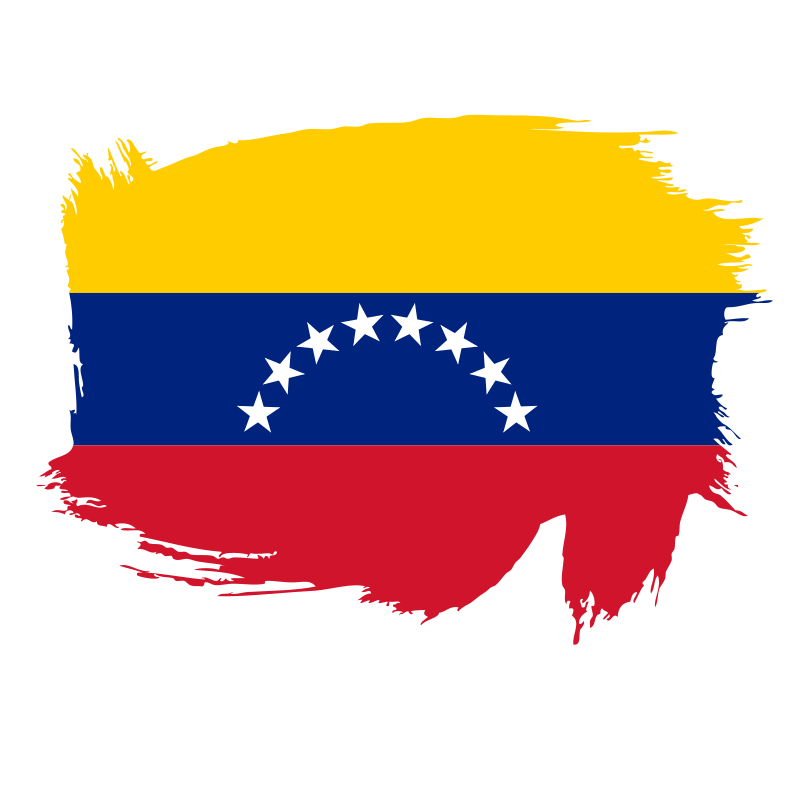 Painted flag of Venezuela