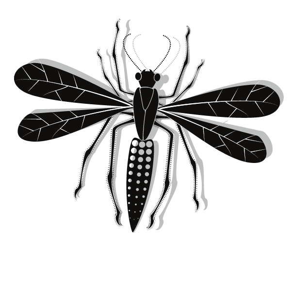 Insect vector clip art