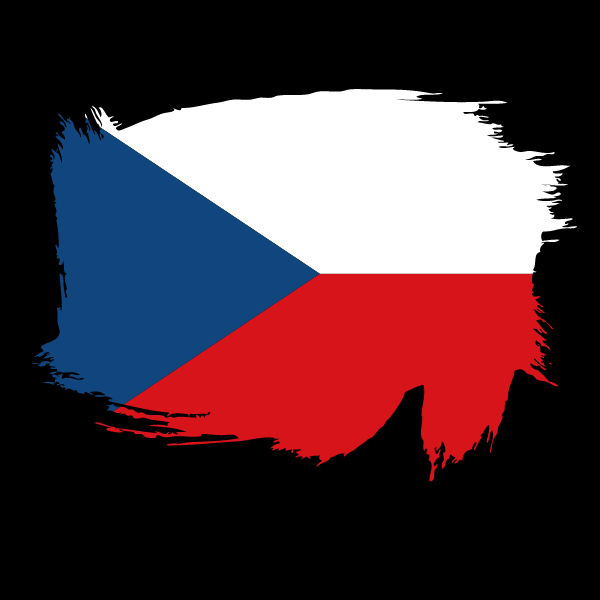 Painted flag of Czech Republic