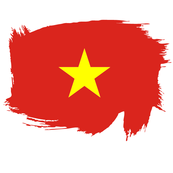Painted flag of Vietnam