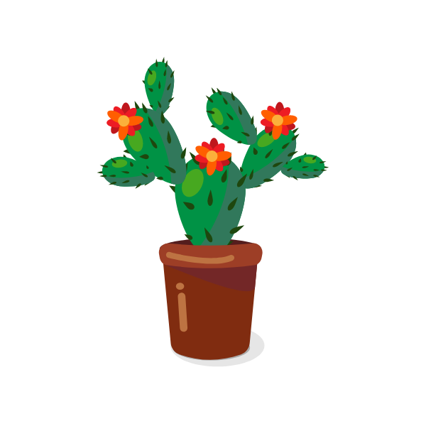 Cactus flower in a pot