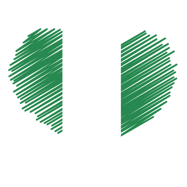 Nigeria flag patriotic symbol