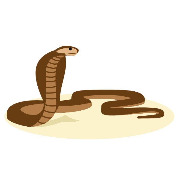 Cobra snake reptile