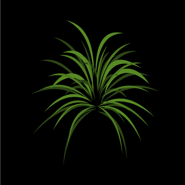 Green grass plant clip art