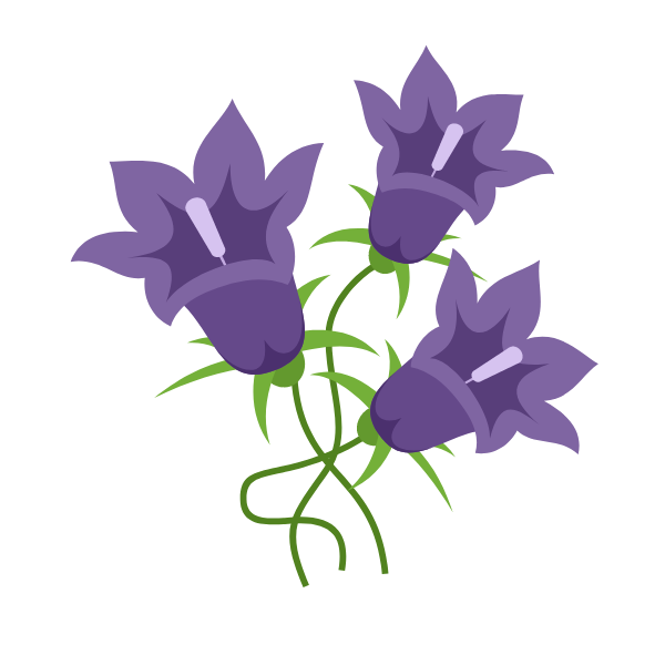 Flower bells purple plant