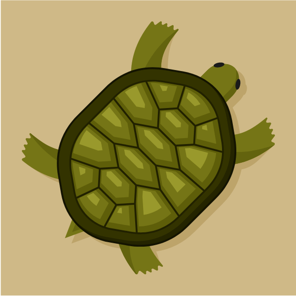 Turtle cartoon clip art graphics | Free SVG