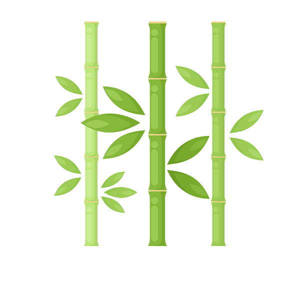 Bamboo plant tree