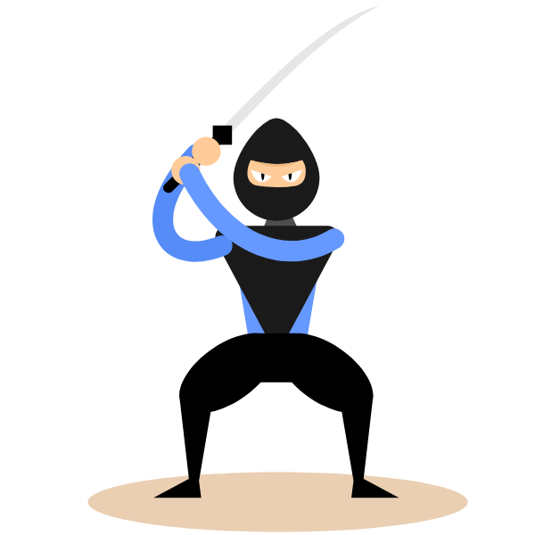 Ninja fighter with a sword