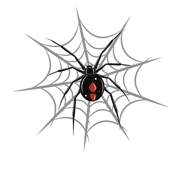 Spider web-1673421031