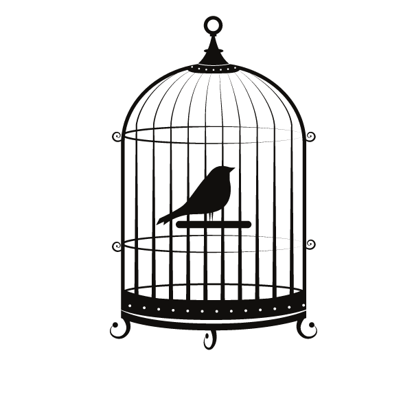 Bird in a cage-1675847313