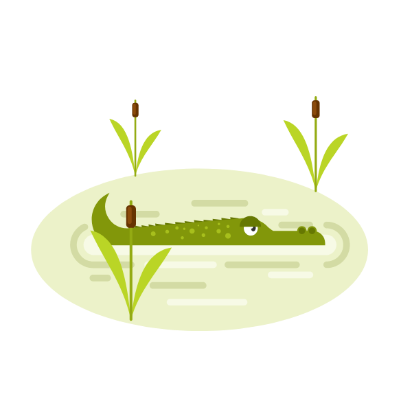 Croc in a swamp