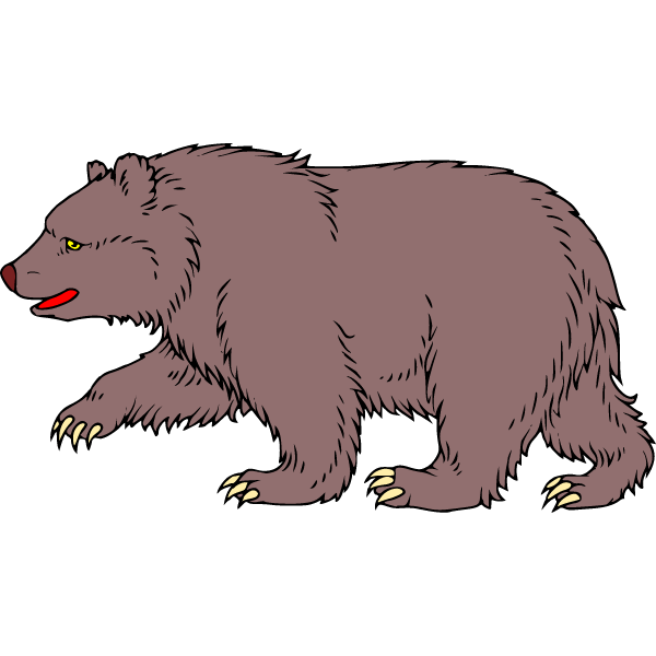 Bear 12b