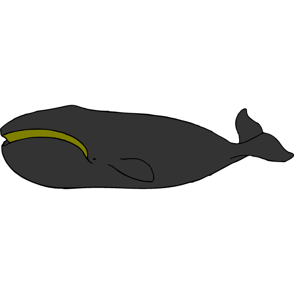 Whale 06b