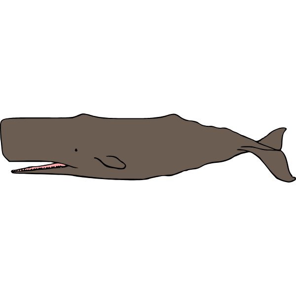Whale 08b