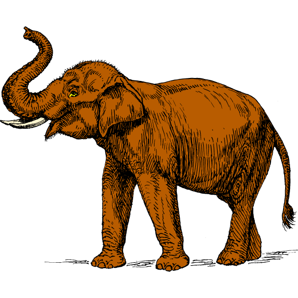 Elephant 5B