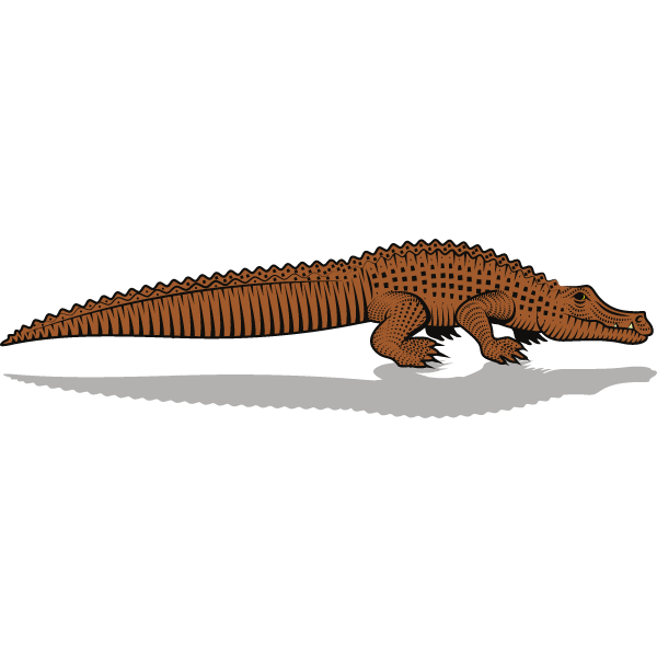 Crocodile (simpler version)