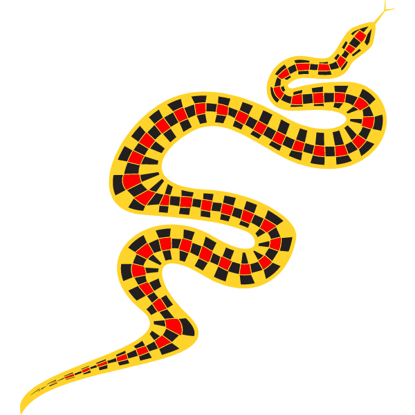 Snake 1a