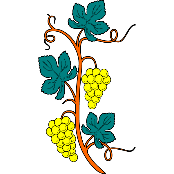 Grapes 5b