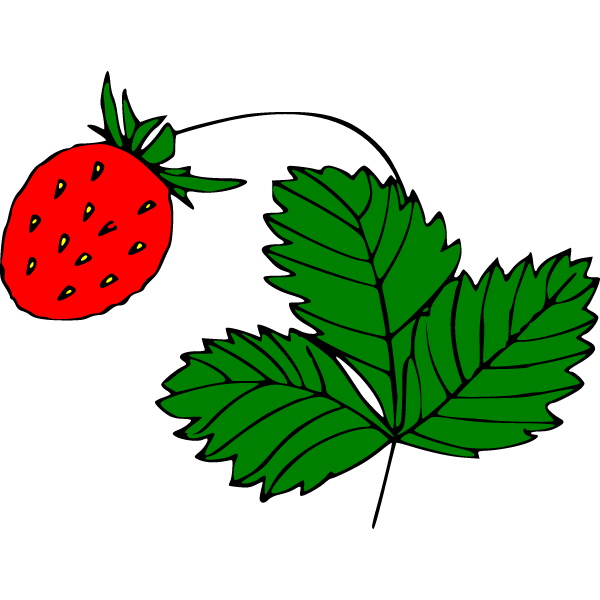 Strawberry 2c