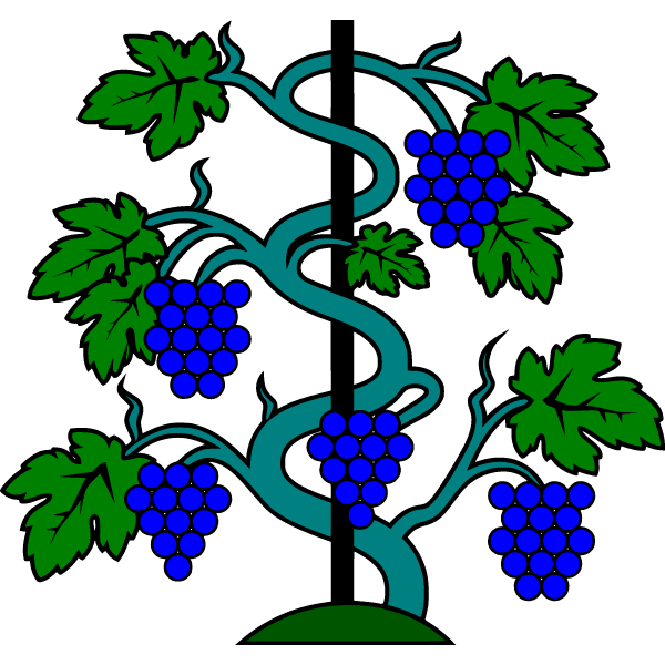 Grapes 9b