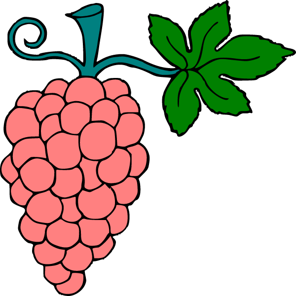 Grapes 11b