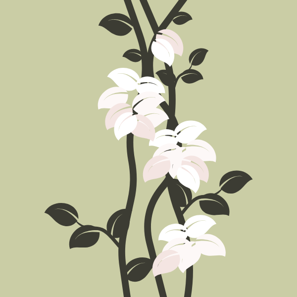 Flower plant white blossom