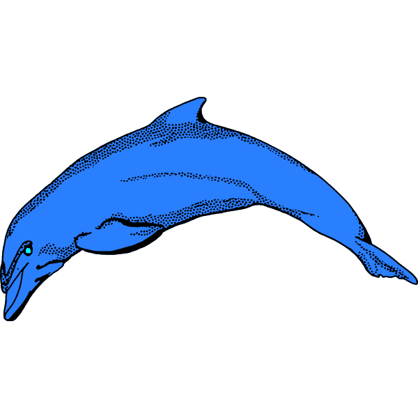 Dolphin 3b