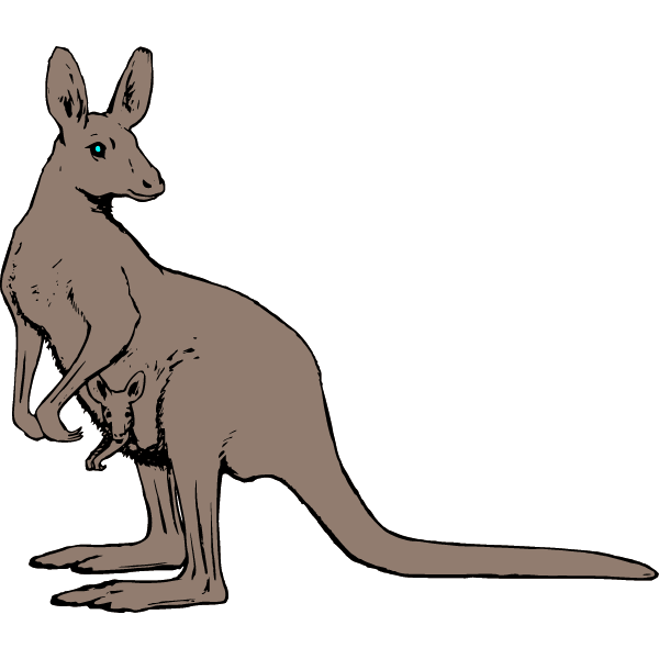 Kangaroo 2b