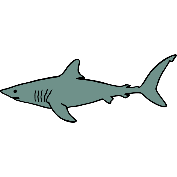 Shark 4c