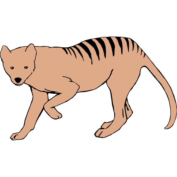 thylacine 1c