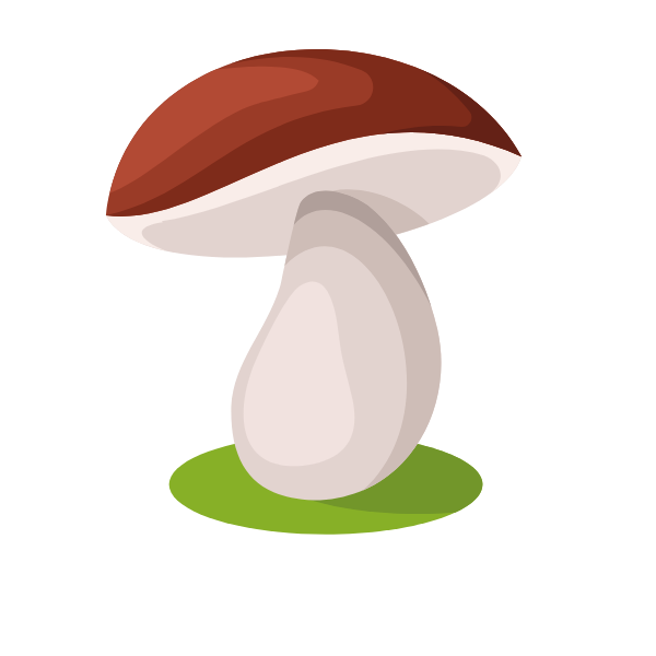 Mushroom-1701073982