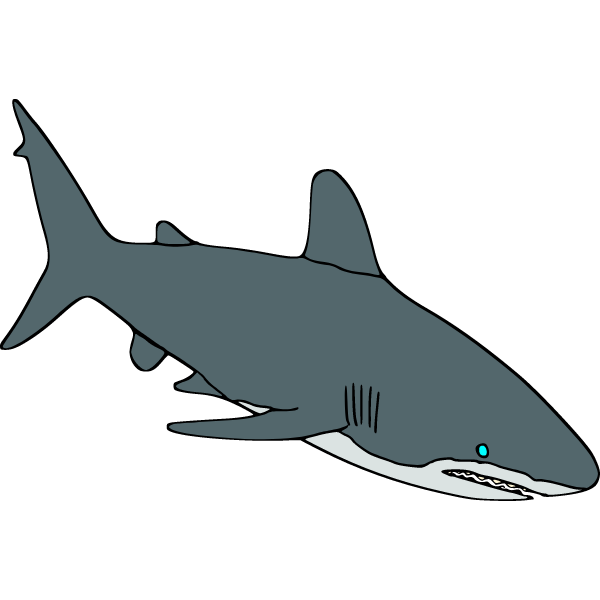 Shark 6b