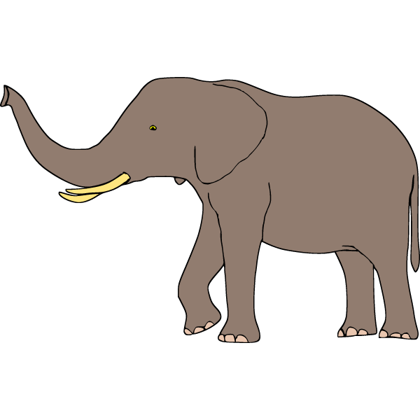 Elephant 7b