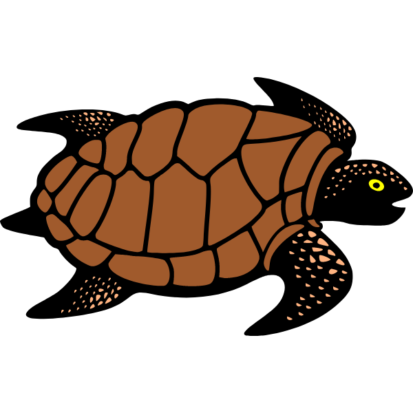 Turtle 1c