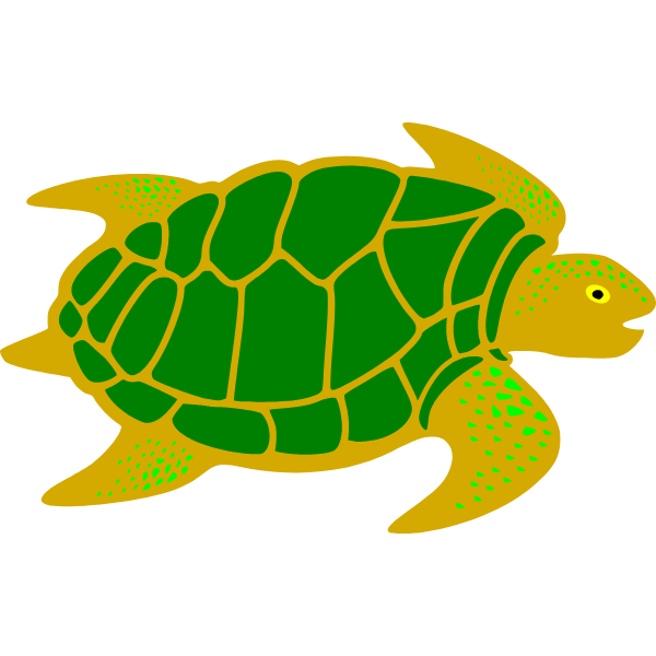 Turtle 1d