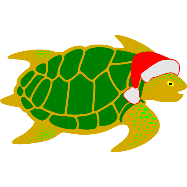 Turtle 1e