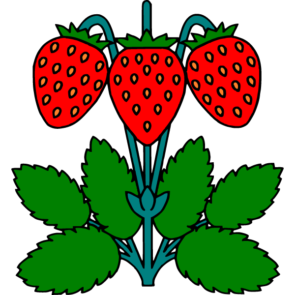 Strawberry 4c