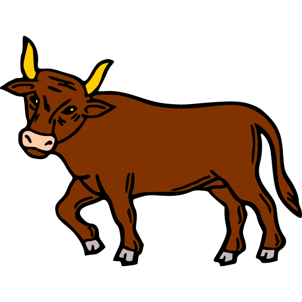 Bull 10b