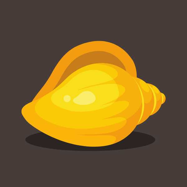Yellow sea shell-1707332154