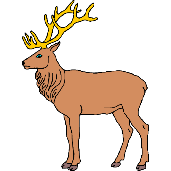 Deer 29b