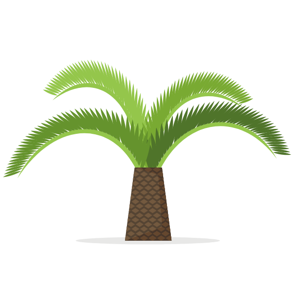 Palm tree on white background