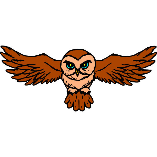 Owl 2b