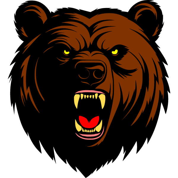 Bear 21b