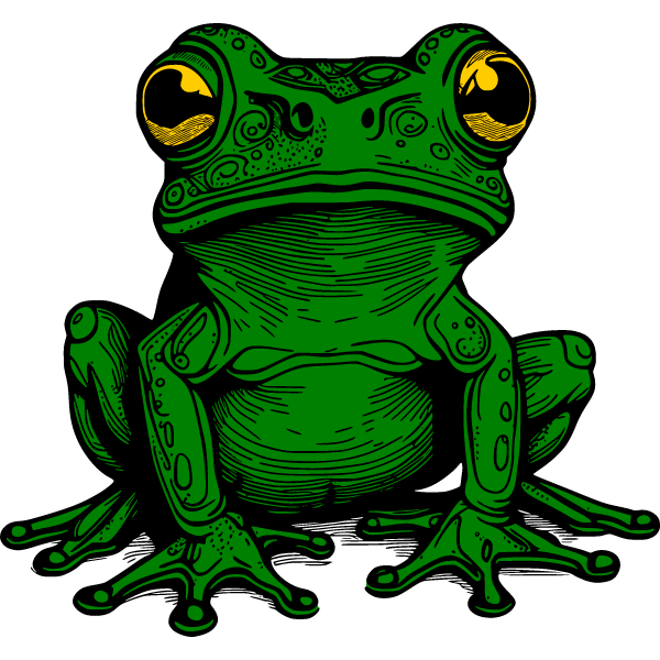 Frog 4b