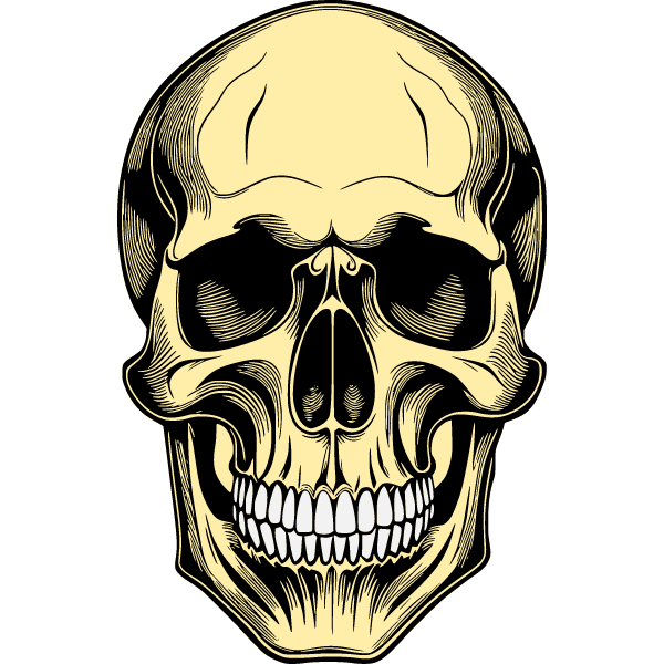 Skull 1b