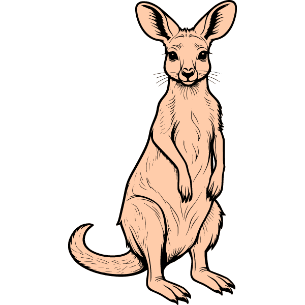 Kangaroo 5c