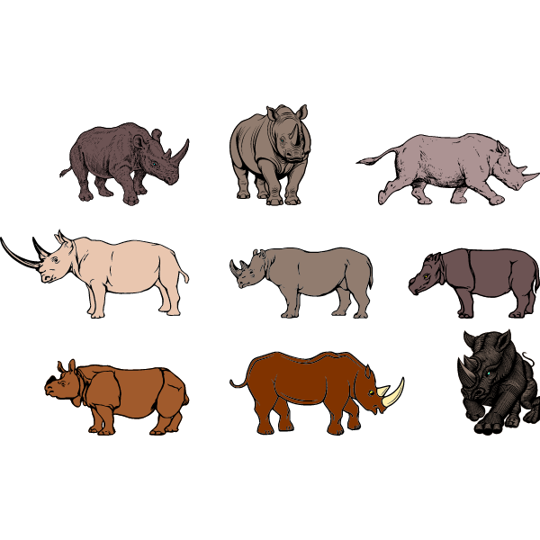 Nine rhinos