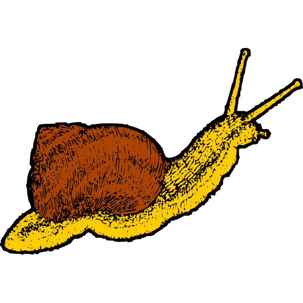 Snail 1a