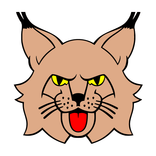 Lynx (head)